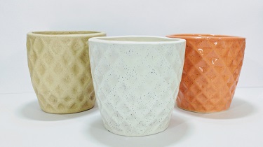 Ceramic Bonsai Pots and Planters